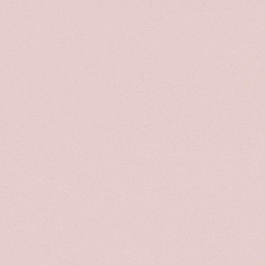 Шпалери вінілові на флізеліновій основі Рожеві Brilliant Colors 0,53 x 10,05 (02403-05)