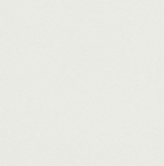 Обои виниловые на флизелиновой основе Белые Brilliant Colors 0,53 x 10,05 (02403-30)