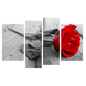 Картина модульная 4 части Красная роза 80 х 120 см