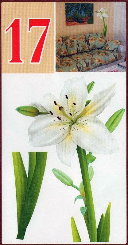 Наклейка декоративная АртДекор №17 Белая Лилия