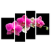 Картина модульная 4 части Орхидея 80 х 120 см