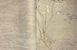 Шпалери вінілові на флізеліновій основі Wiganford Bellamore бежевий 1,06 х 10,05м (196003)