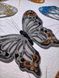 Об'єднання роз'ємні 3Д метелики на магнітах різного кольору, Разные цвета, Різні кольора