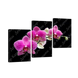 Картина модульна 3 частини Орхідеї 70 х 110 см