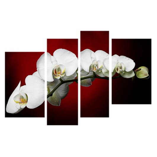 Картина модульная 4 части Орхидея 80 х 120 см (8364-С-22)
