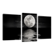 Модульна картина DK Place Місяць 3 частини 53 x 100 см (456_3)