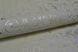Шпалери вінілові на паперовій основі ArtGrand Bravo бежевий 0,53 х 10,05м (85031BR31)