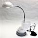 Настольная лампа BERNA LED HL010L 3W 130lm 3000k 220-240v біла (006 0003 010), Белый, Белый