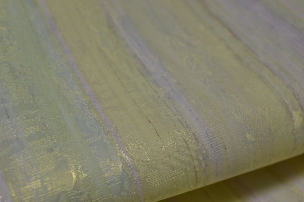 Шпалери вінілові на флізеліновій основі Слов'янські шпалери Elegance B121 Політ різні кольори 1,06 х 10,05м (V 306 - 04)