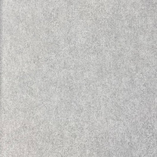 Обои виниловые на флизелиновой основе Rasch Raymond серый 1,06 х 10,05м (957310), серый, Бежевый