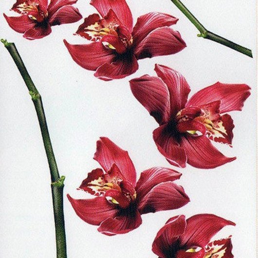 Наклейка декоративная АртДекор №2 Цветы орхидеи
