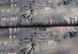 Шпалери вінілові на флізеліновій основі ArtGrand Dinastia сіро-бежевий 1,06 х 10,05м (833DN33)