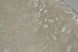 Шпалери вінілові на флізеліновій основі Слов'янські шпалери LeGrand Platinum В118 Джунглі 2 бежевий 1,06 х 10,05м (8625-01)
