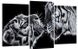 Модульна картина у вітальню/спальню для інтер'єру "Чорно-білі тигри" 3 частини 53 x 100 см (MK30228_E)