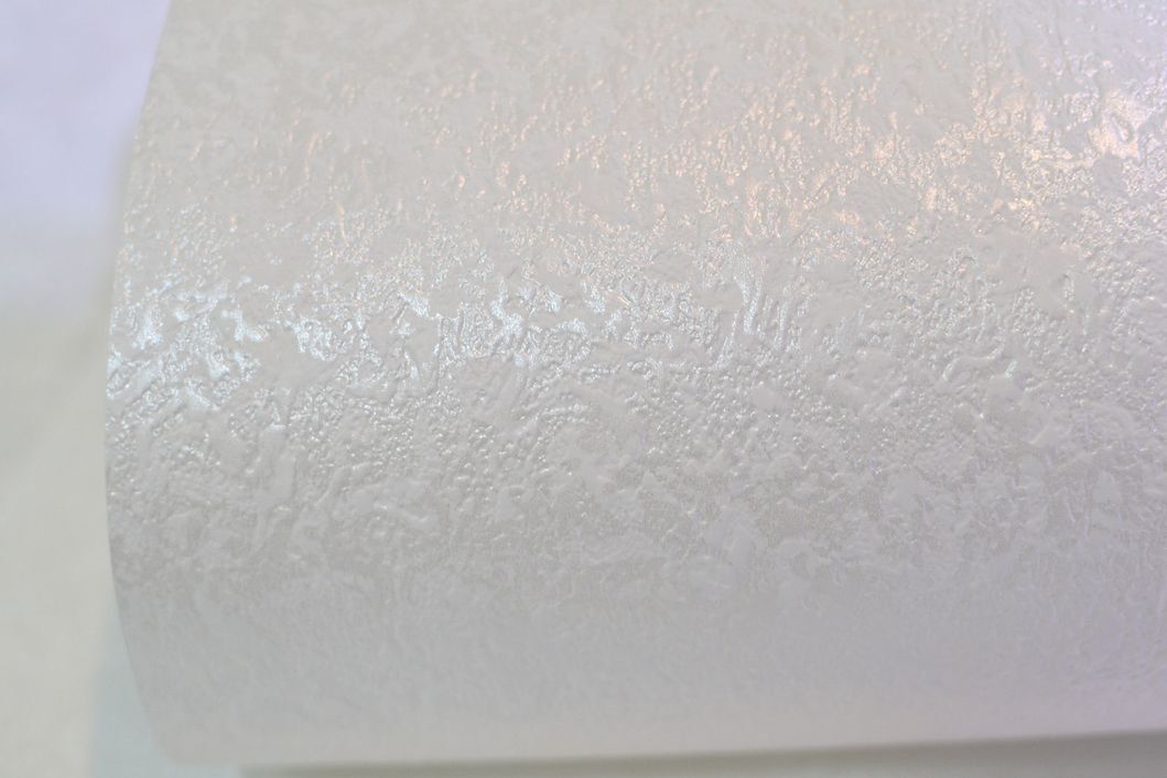Шпалери дуплексні на паперовій основі Слов'янські шпалери Gracia В69,4 Сітка білий 0,53 х 10,05м (120-01)