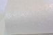 Шпалери дуплексні на паперовій основі Слов'янські шпалери Gracia В69,4 Сітка білий 0,53 х 10,05м (120-01)