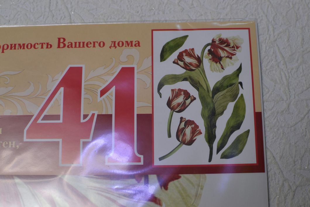 Наклейка декоративна Артдекор №41 Тюльпани