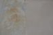 Шпалери вінілові на флізеліновій основі Sintra Avellino бежевий 1,06 х 10,05м (363447)