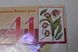 Наклейка декоративная АртДекор №41 Тюльпаны