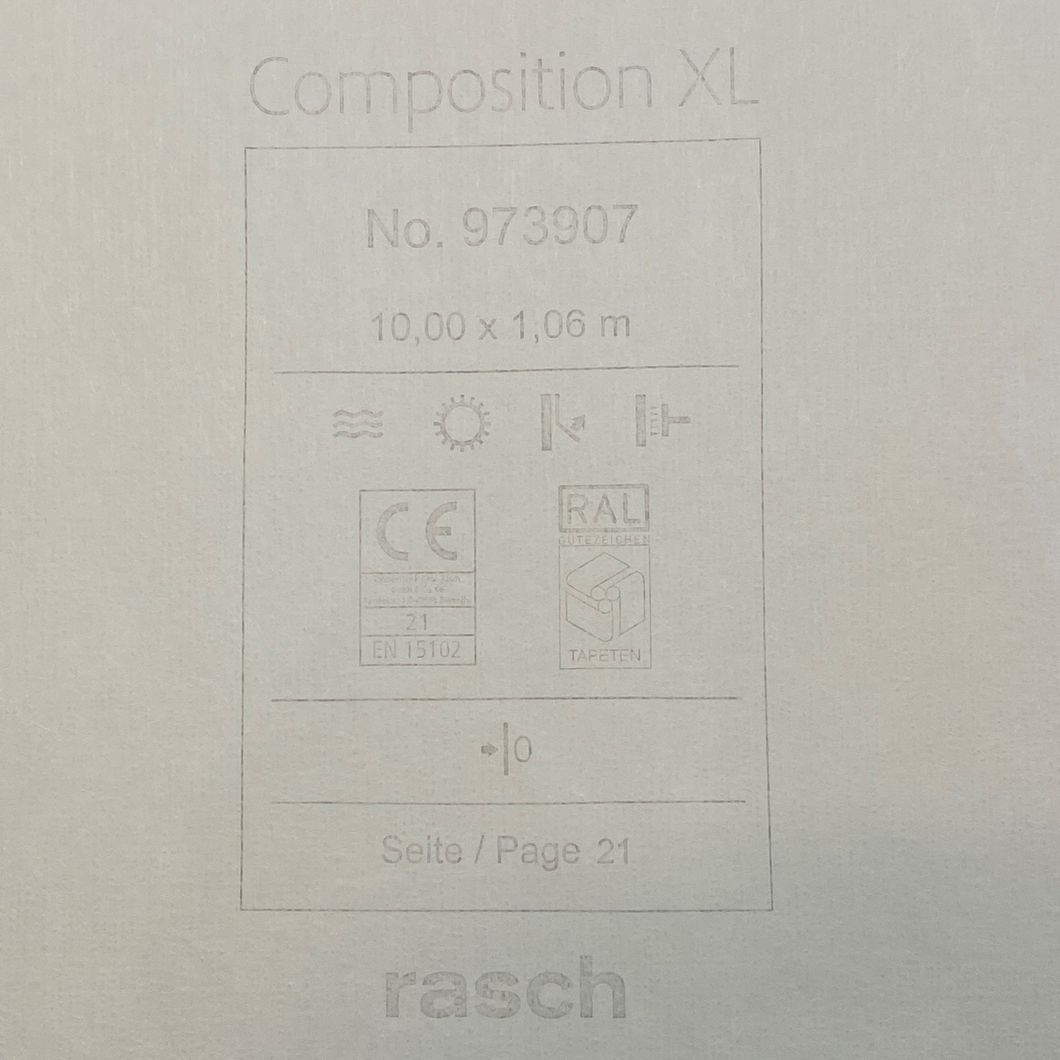Обои виниловые на флизелиновой основе Rasch Composition белый 1,06 х 10,00м (973907)