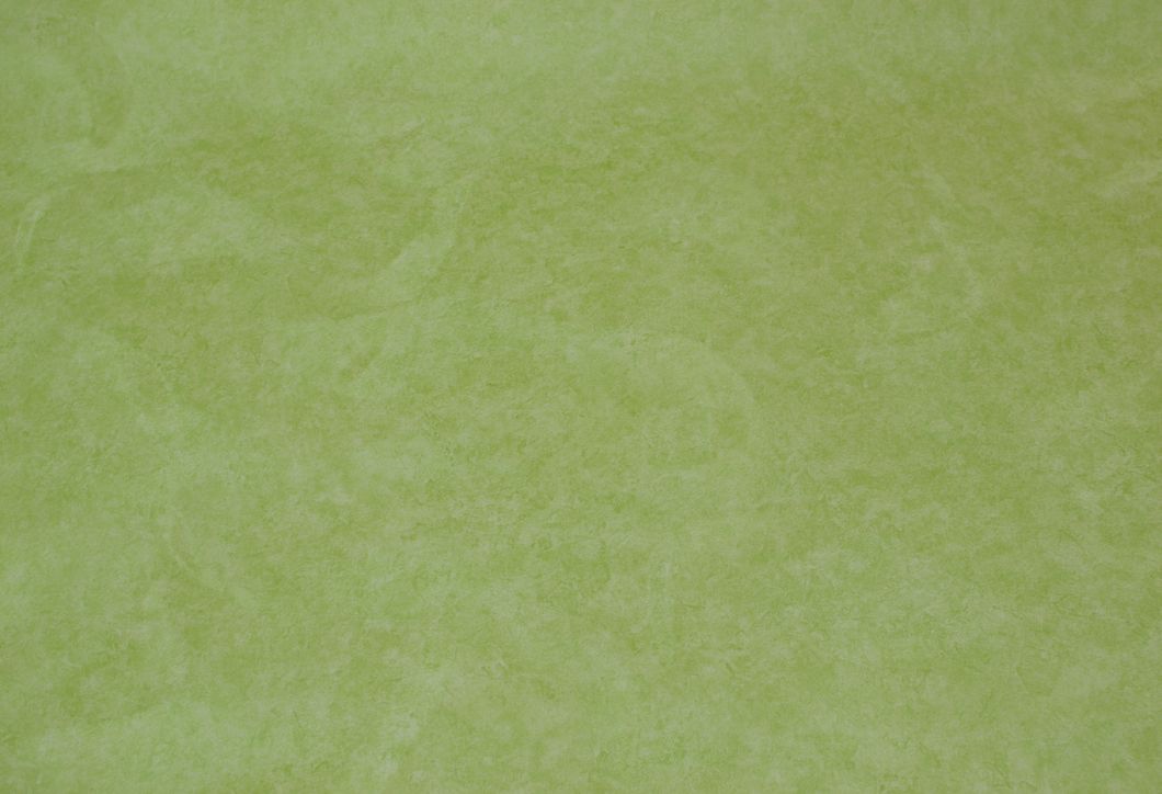 Обои виниловые на флизелиновой основе Sintra Ramas зелёный 1,06 х 10,05м (502143)