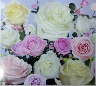 Фотообои плотная бумага ПРЕСТИЖ №15 Розы 294 см х 272 см
