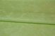 Шпалери вінілові на флізеліновій основі Sintra Ramas зелений 1,06 х 10,05м (502143)