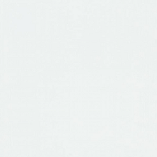 Обои виниловые на флизелиновой основе Белые Fashion for Walls 0,53 х 10,05м (10004-01)