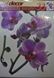 Наклейка декоративная АртДекор №33 Орхидеи