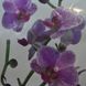 Наклейка декоративная АртДекор №33 Орхидеи