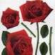 Наклейка декоративная АртДекор №18 Алые розы