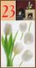 Наклейка декоративна Артдекор №23 Білі тюльпани