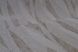 Шпалери вінілові на паперовій основі Слов'янські шпалери Comfort В53,4 Розмарин 2 бежевий 0,53 х 10,05м (5694-01)