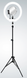 Кільцева селфі світлодіодна лампа з кріпленням для Тик ток інстаграм з штативом, Черный