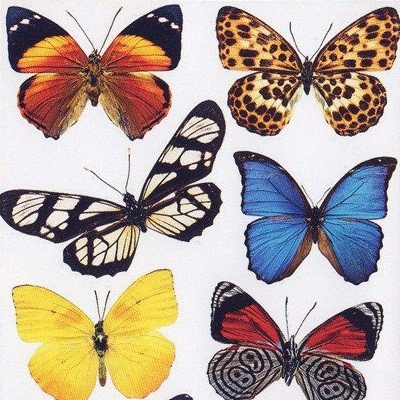 Наклейка декоративная АртДекор №24 Бабочки