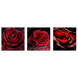 Картина триптих на полотні 3 частини Червоні троянди 30 х 30 см