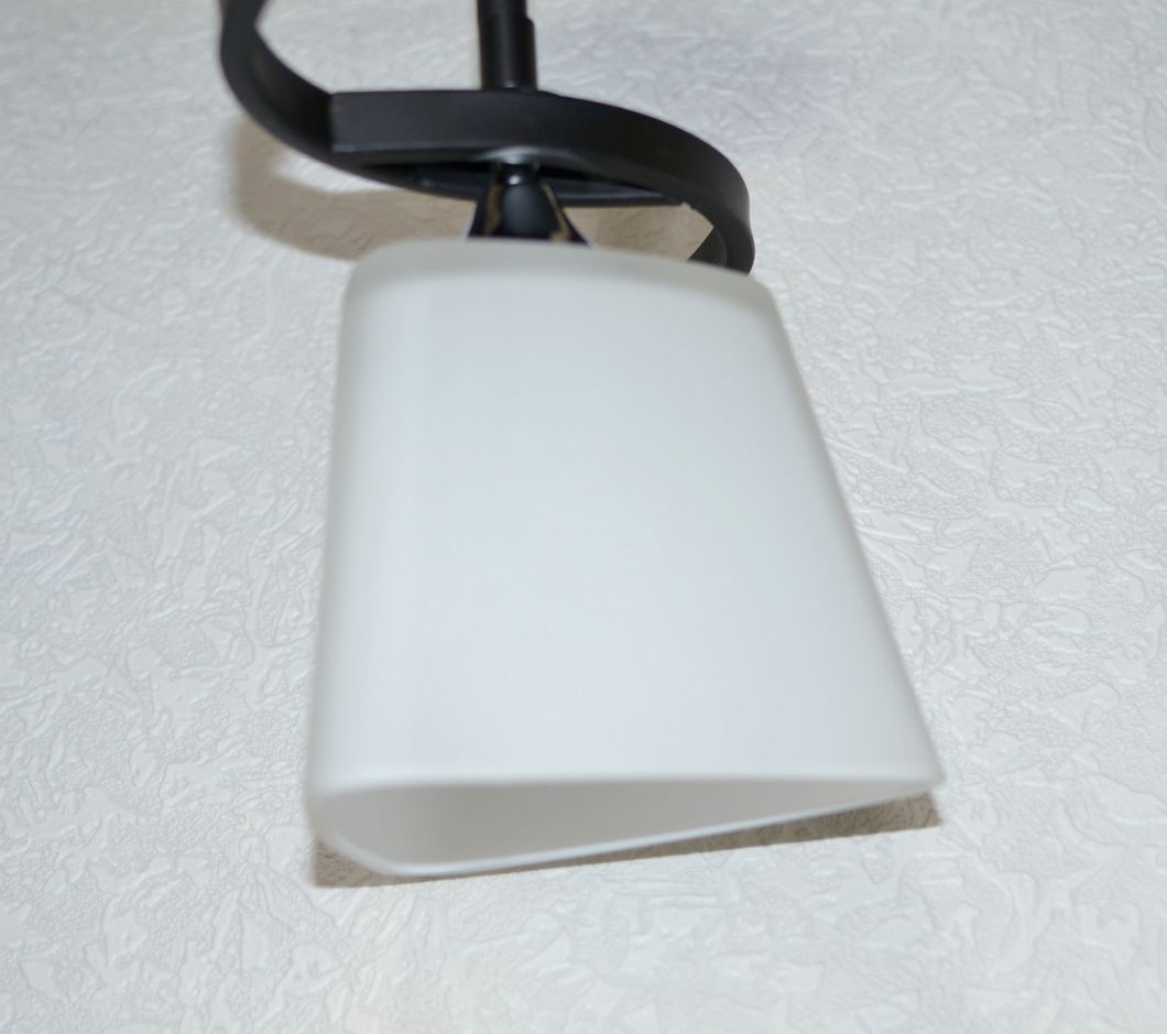 Люстра металлическая матовый дымчатый плафон 1 лампа черная, Черный, Белый