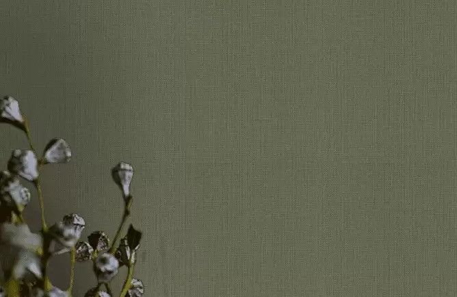 Шпалери вінілові на флізеліновій основі Rash Kimono зелений 0,53 х 10,05м (407945)