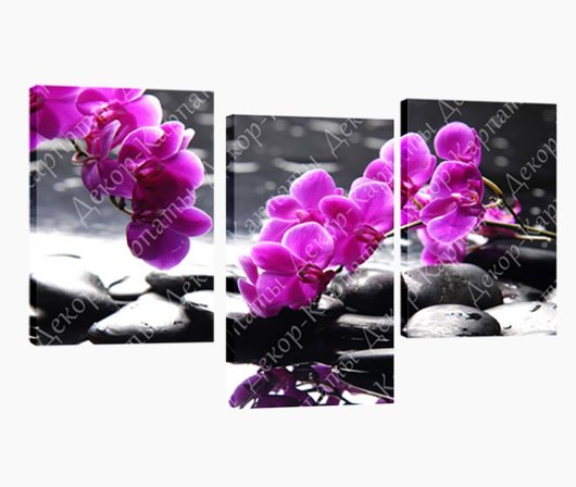 Картина модульная 3 части Орхидеи 53 х 110 см
