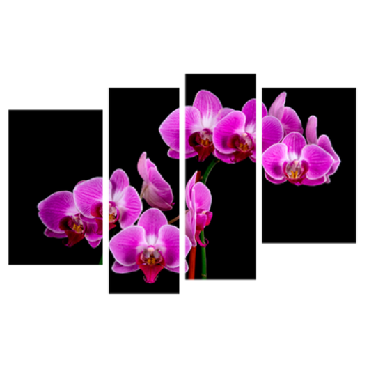 Картина модульна 4 частини Орхідея 80 х 120 см