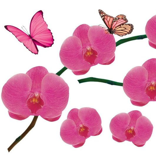 Наклейка декоративная Label №12 Орхидея розовая