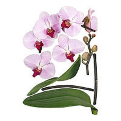 Наклейка декоративная Наш Декупаж Орхидея