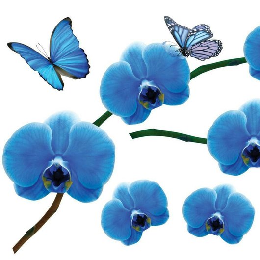 Наклейка декоративная Label №11 Орхидея синяя