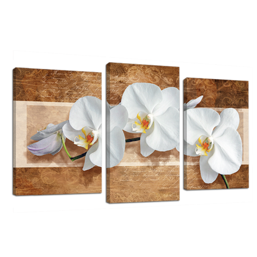Картина модульная 3 части Орхидея на бежевом 53 х 100 см