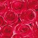 Самоклейка декоративна Gekkofix Троянди червоний глянець 0,45 х 1м, Червоний, Червоний