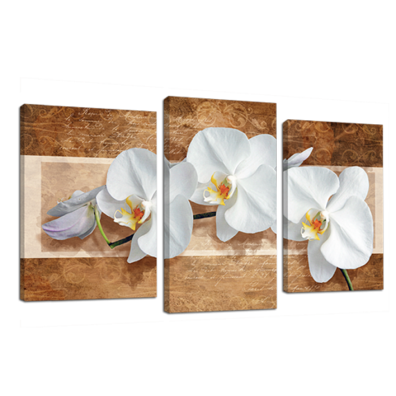 Картина модульная 3 части Орхидея на бежевом 53 х 100 см