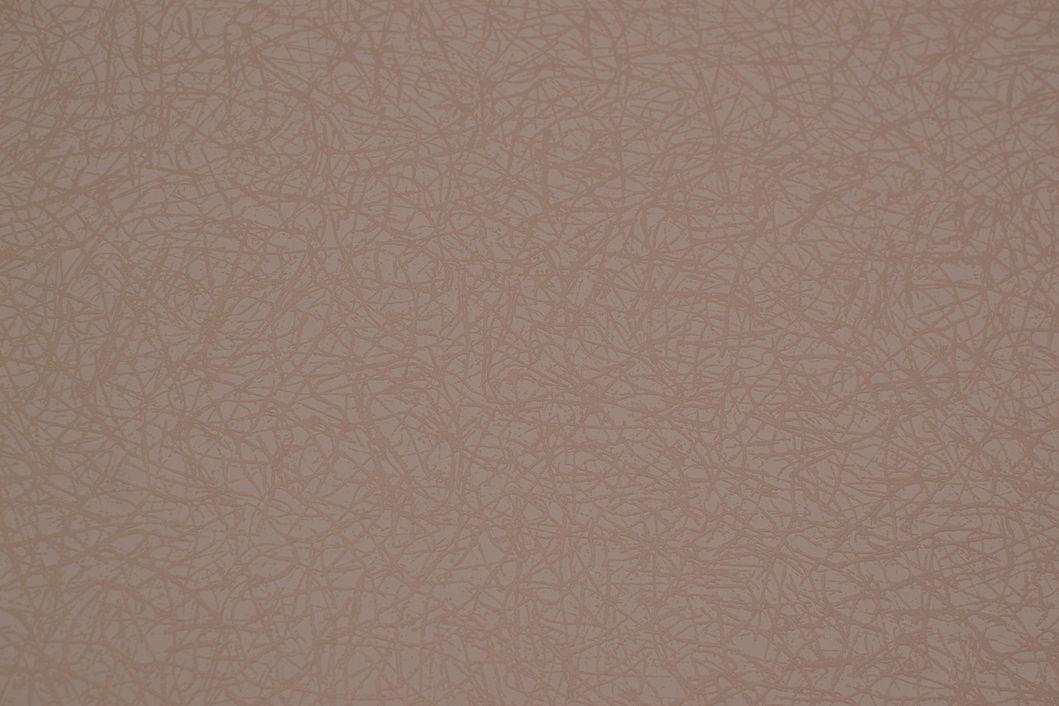 Шпалери вінілові на флізеліновій основі Sintra бежевий 1,06 х 10,05м (543207)