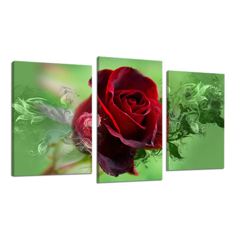 Картина модульная 3 части Розы 53 х 100 см