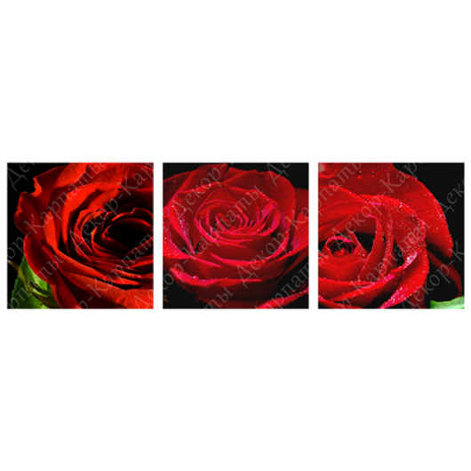 Картина триптих на холсте 3 части Красные розы 30 х 30 см