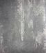Шпалери вінілові на флізеліновій основі AS Creation New Studio 2.0 темно-сірий 0,53 х 10,05м (37412-3)